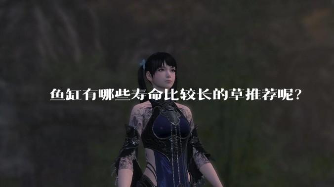 鱼缸有哪些寿命比较长的草推荐呢？
