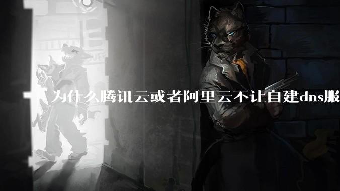 为什么腾讯云或者阿里云不让自建dns服务器?
