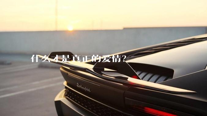 什么才是真正的爱情？