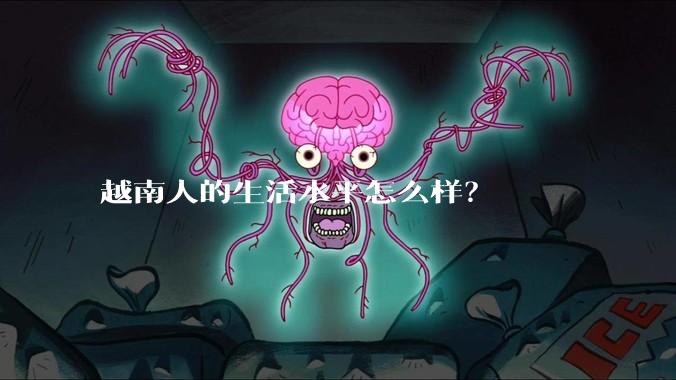 越南人的生活水平怎么样？