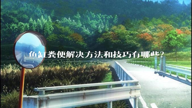鱼缸粪便解决方法和技巧有哪些？
