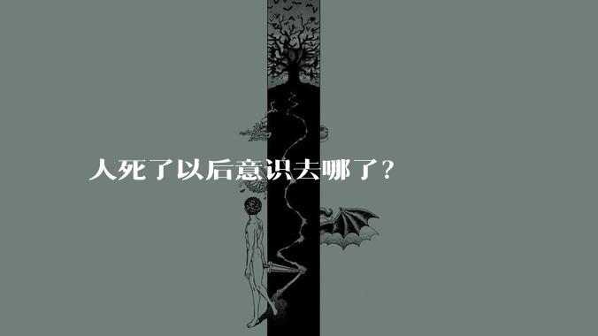 人死了以后意识去哪了？