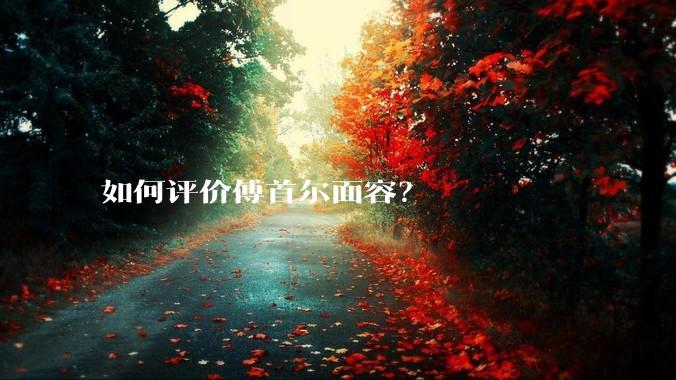 如何评价傅首尔面容？