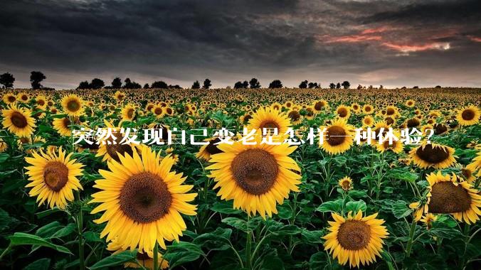 突然发现自己变老是怎样一种体验？