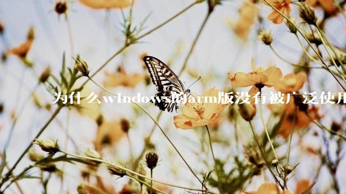 为什么windows的arm版没有被广泛使用？