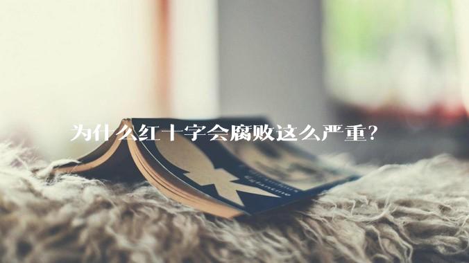 为什么红十字会腐败这么严重？
