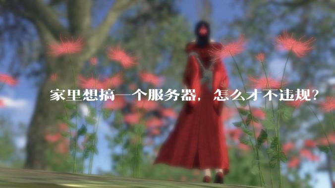 家里想搞一个服务器，怎么才不违规？