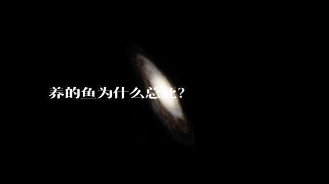 养的鱼为什么总死？