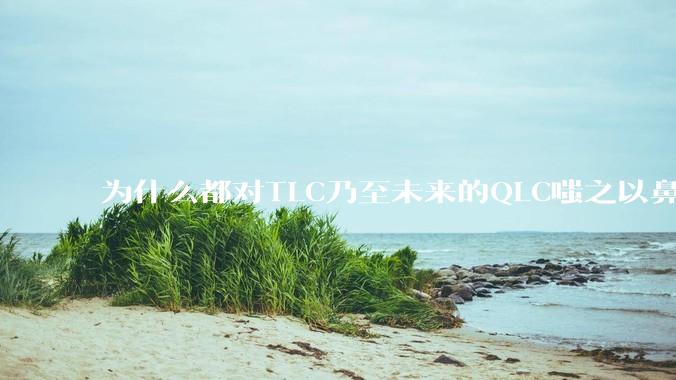 为什么都对TLC乃至未来的QLC嗤之以鼻呢?