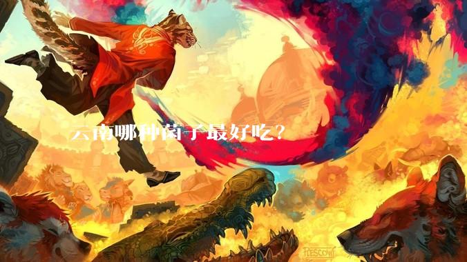 云南哪种菌子最好吃？