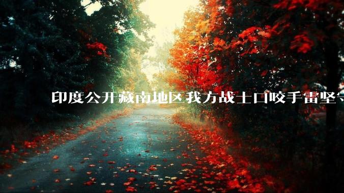 印度公开藏南地区我方战士口咬手雷坚守的***，是想表达什么？