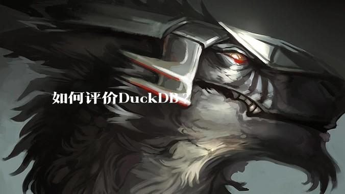 如何评价DuckDB?