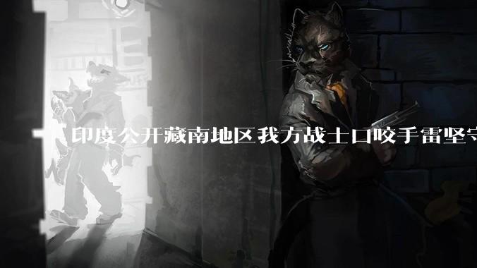 印度公开藏南地区我方战士口咬手雷坚守的***，是想表达什么？