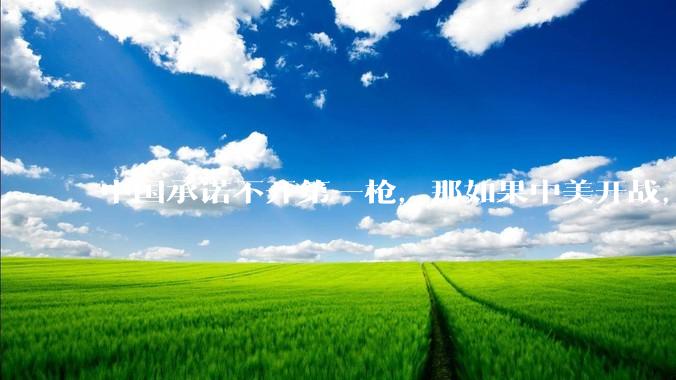 中国承诺不开第一枪，那如果中美开战，美国直接摧毁北斗卫星，中国该如何反败为胜？