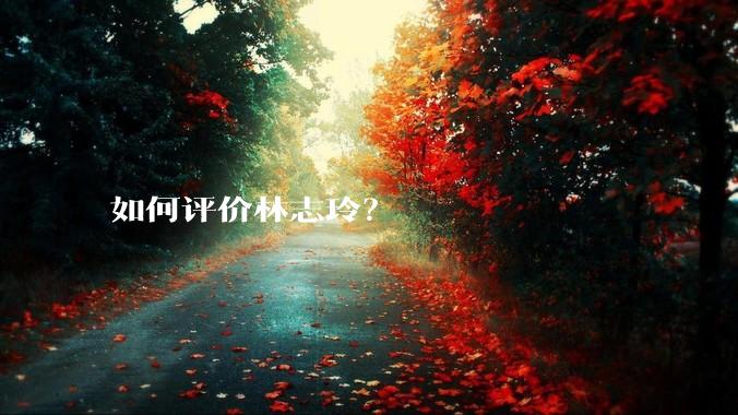 如何评价林志玲？
