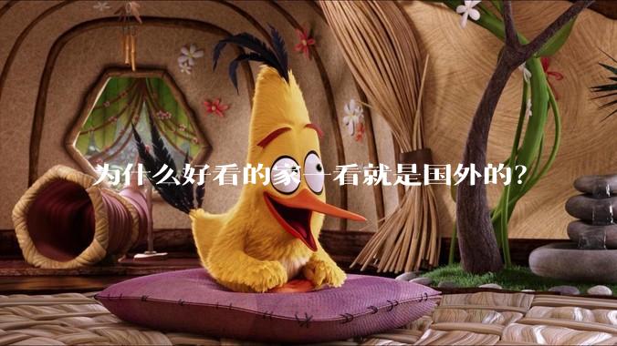 为什么好看的家一看就是国外的？