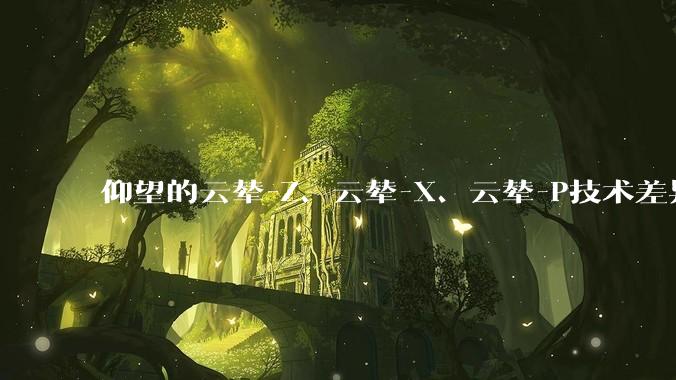 仰望的云辇-Z、云辇-X、云辇-P技术差异在哪？在行业上是什么水平？