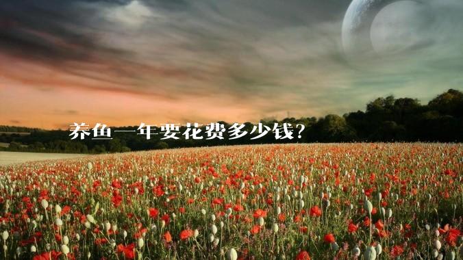 养鱼一年要花费多少钱？