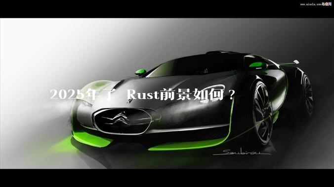 2025年了 Rust前景如何?