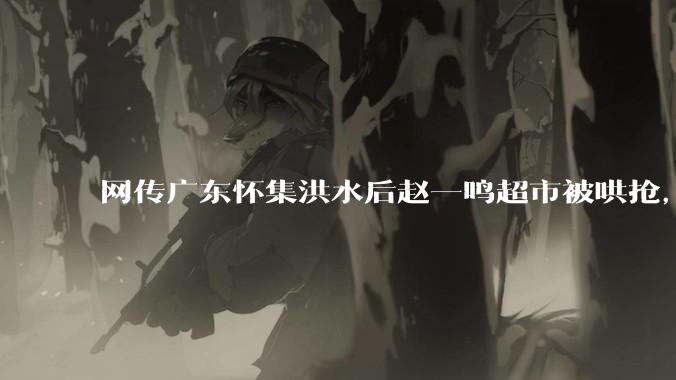 网传广东怀集洪水后赵一鸣超市被哄抢，县***回应相关单位正在核实，若属实哄抢者该承担哪些法律责任？