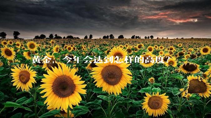 黄金，今年会达到怎样的高度？