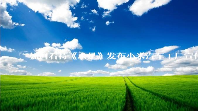如何看待《求是》发布小米汽车工厂宣传片？