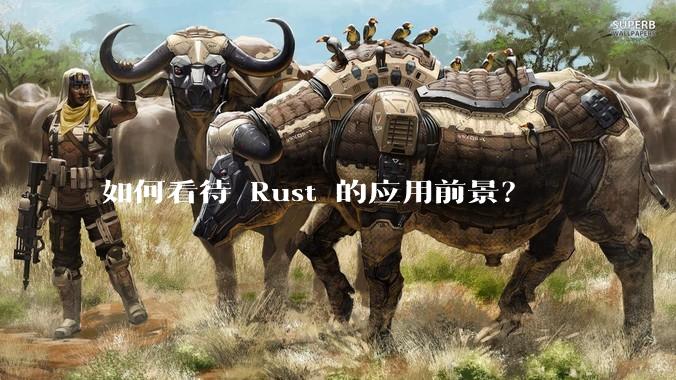 如何看待 Rust 的应用前景？