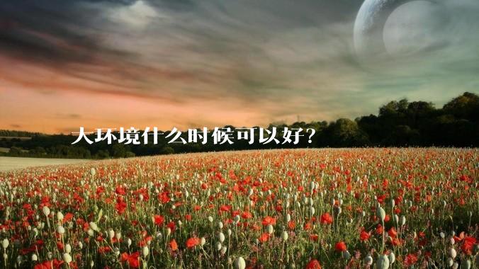 大环境什么时候可以好？