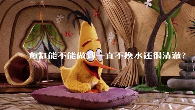 鱼缸能不能做到一直不换水还很清澈？