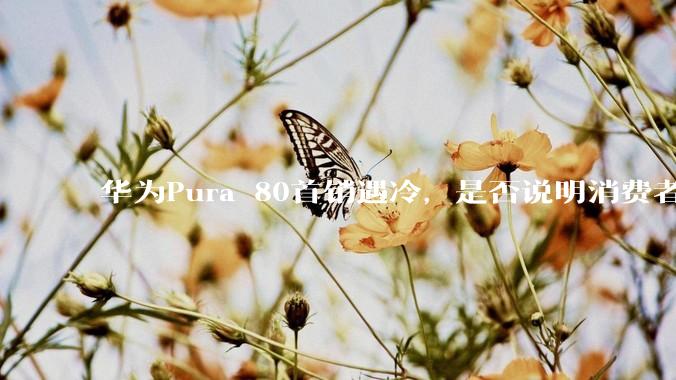 华为Pura 80首销遇冷，是否说明消费者已经开始对麒麟芯片性能有所觉醒？