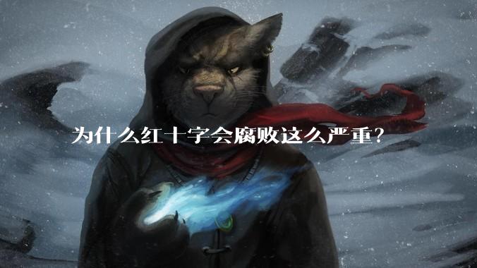 为什么红十字会腐败这么严重？