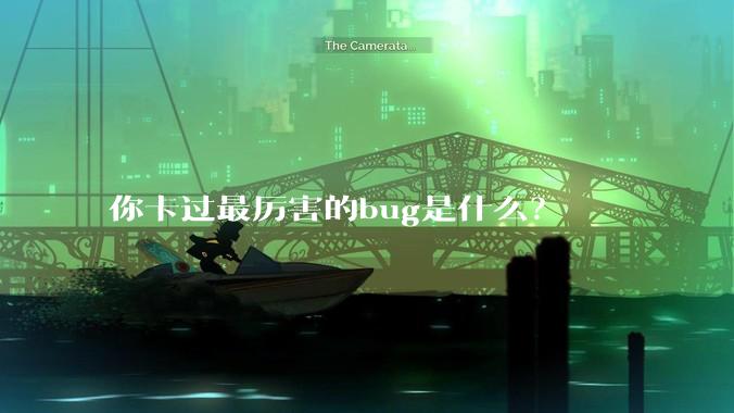 你卡过最厉害的bug是什么？